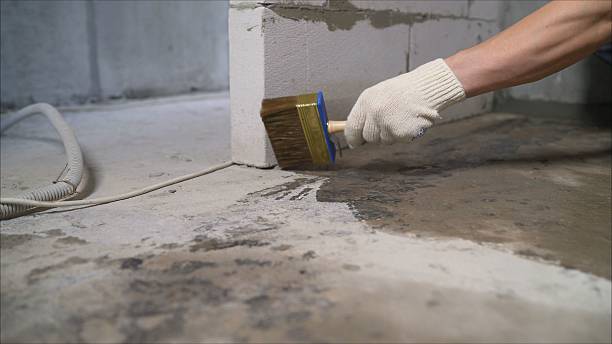 SJ Waterproofing Pros Interior Drainage System coverage map for Trenton, MI and surrounding area